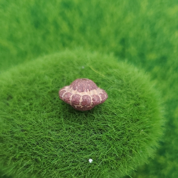 Wooden Beaded Ufo Styled Bead P313 - Picture 1 of 2